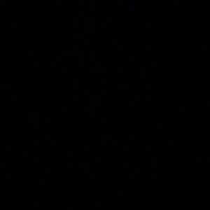 Meet your Posher, Devan